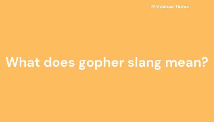 What does gopher slang mean?