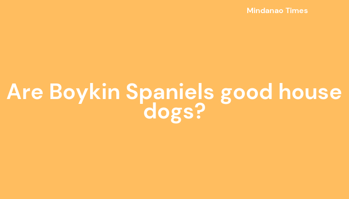 Are Boykin Spaniels good house dogs?