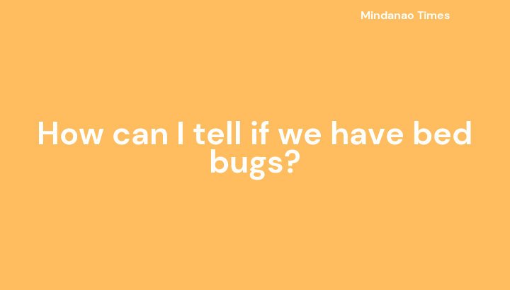 How can I tell if we have bed bugs?