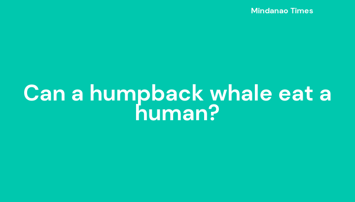 Can a humpback whale eat a human?