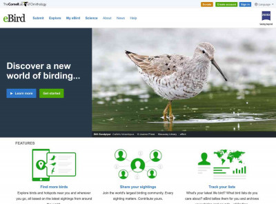 Whipple Hill Conservation Area, Lexington - eBird Hotspot Whipple Hill Conservation Area, Lexington - eBird Hotspot