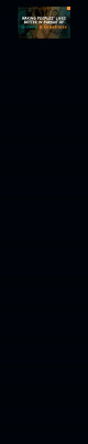 WirelessVision – WirelessVision WirelessVision – WirelessVision