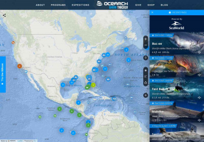 OCEARCH Shark Tracker OCEARCH Shark Tracker