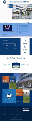 Arab International University Arab International University