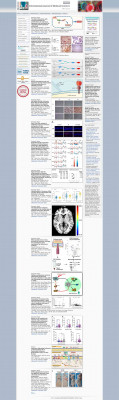 Long Term Persistence of IgE Anti-Influenza Virus Antibodies ... Long Term Persistence of IgE Anti-Influenza Virus Antibodies ...
