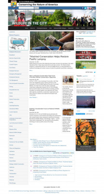 Attachment 1 Invitational Travelers in Concur Government ... Attachment 1 Invitational Travelers in Concur Government ...