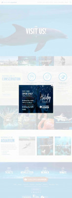USF NetID Single-SignOn | University of South Florida - Texas ... USF NetID Single-SignOn | University of South Florida - Texas ...