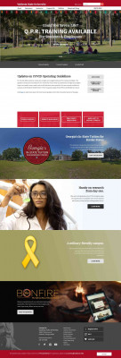 Welcome To The ADP TotalPay® Visa® Card Program! Welcome To The ADP TotalPay® Visa® Card Program!
