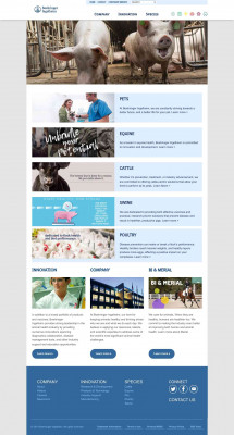 Contact | Boehringer Ingelheim Vetmedica Contact | Boehringer Ingelheim Vetmedica