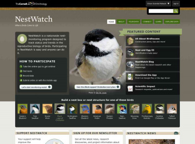 NestWatch | NestWatch - Where Birds Come to Life NestWatch | NestWatch - Where Birds Come to Life