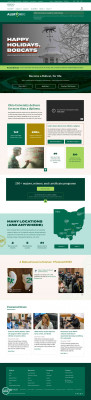 Learning Management System: Blackboard Learn - Ohio ... Learning Management System: Blackboard Learn - Ohio ...