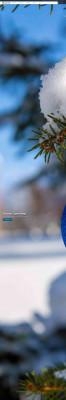 myUMaine Portal - The University of Maine myUMaine Portal - The University of Maine