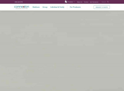 Molina Agent User Guide - Connexion Insurance Solutions Molina Agent User Guide - Connexion Insurance Solutions