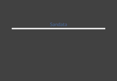 Sandata DataPlus Sandata DataPlus