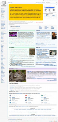 TriNet - Wikipedia TriNet - Wikipedia