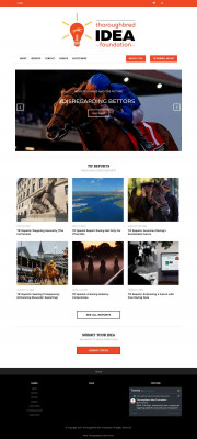 A TIF Special Report: - Thoroughbred Idea Foundation A TIF Special Report: - Thoroughbred Idea Foundation