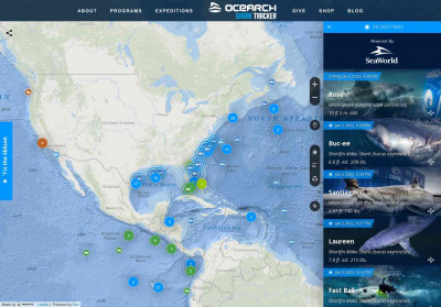 OCEARCH Shark Tracker OCEARCH Shark Tracker