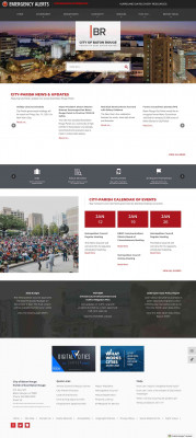LAChip Brochure and Application (PDF) - BRLA.gov LAChip Brochure and Application (PDF) - BRLA.gov