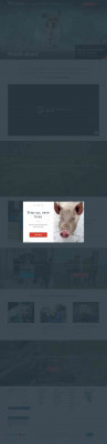 “PuppyFind” faces consumer lawsuit alleging deceptive ... “PuppyFind” faces consumer lawsuit alleging deceptive ...