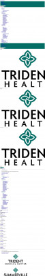 Online Bill Pay | Trident Health System Online Bill Pay | Trident Health System