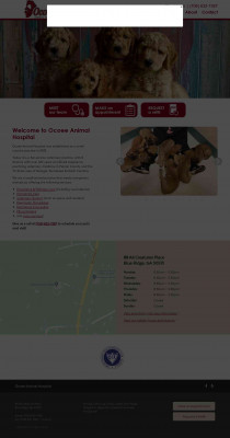 Client Forms - Ocoee Animal Hospital Client Forms - Ocoee Animal Hospital