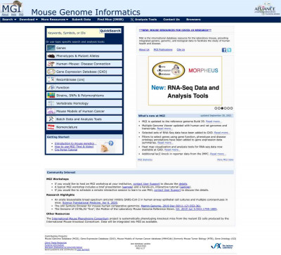 Fsd1 MGI Mouse Gene Detail - MGI:1934858 - fibronectin type ... Fsd1 MGI Mouse Gene Detail - MGI:1934858 - fibronectin type ...