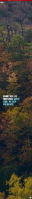 ORNL Federal Credit Union | Banking, Loans, Investments ... ORNL Federal Credit Union | Banking, Loans, Investments ...