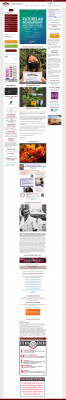 Homepage - El Camino High School Homepage - El Camino High School