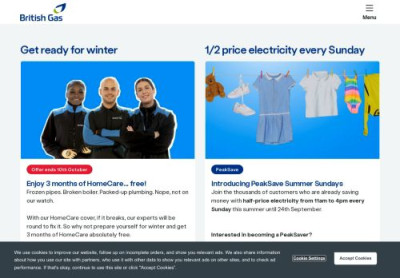 British Gas Top Up Online Login - Mindanao Times