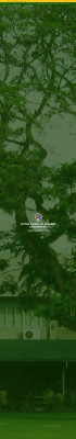 Notre Dame of Marbel University | Notre Dame of Marbel University |
