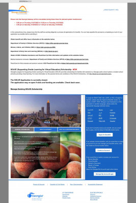Georgia Gateway - Homepage Screen Georgia Gateway - Homepage Screen