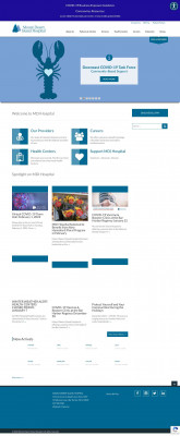 Patient Portals - MDI Hospital Patient Portals - MDI Hospital