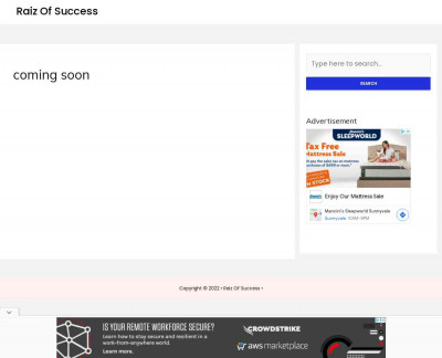 Raiz Of Success Raiz Of Success