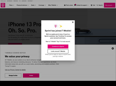 Sprint Workforce Manager for the mobile workforce Sprint Workforce Manager for the mobile workforce