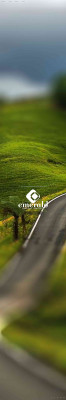 Emerald Support Services: The Virtual Assistance and ... Emerald Support Services: The Virtual Assistance and ...