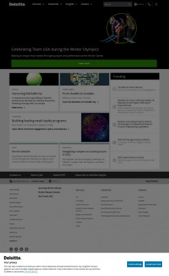 Mystery Shopper Services | Deloitte CIS | Risk Mystery Shopper Services | Deloitte CIS | Risk