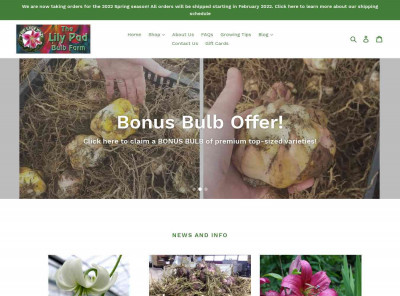 Bonus Bulbs Offer Bonus Bulbs Offer