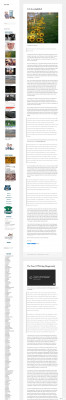 Sign-In Issues - Andrew Sullivan Sign-In Issues - Andrew Sullivan