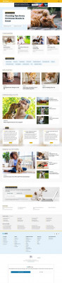 How to Introduce Your Older Cat to a Kitten - Pet WebMD How to Introduce Your Older Cat to a Kitten - Pet WebMD