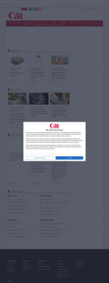 My cat won't accept a new kitten - Your Cat Magazine My cat won't accept a new kitten - Your Cat Magazine