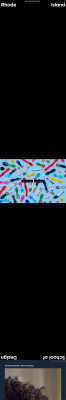 Rhode Island School of Design | RISD Rhode Island School of Design | RISD