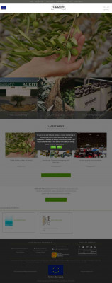 Aceitunas Torrent:Commercializing Company and Producer of ... Aceitunas Torrent:Commercializing Company and Producer of ...