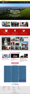 Options to manage your NetID - California State University ... Options to manage your NetID - California State University ...
