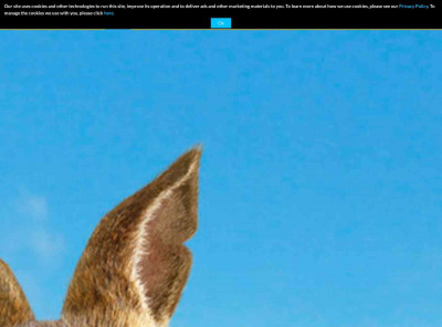Peter Rabbit 2 Movie | Official Website | Sony Pictures Peter Rabbit 2 Movie | Official Website | Sony Pictures