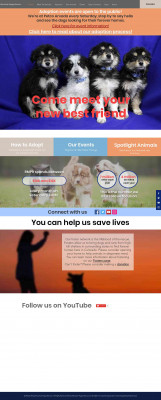 24-Hour PetWatch Microchip | RM Puppy Rescue 24-Hour PetWatch Microchip | RM Puppy Rescue