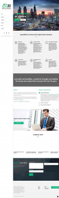 risk management risk management