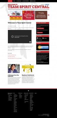 Flexible Spending Account - Team Spirit Central Flexible Spending Account - Team Spirit Central