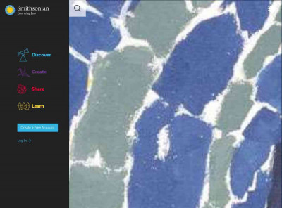 Resources :: Pellaea ternifolia (Cav.) Link | Smithsonian Learning Lab Resources :: Pellaea ternifolia (Cav.) Link | Smithsonian Learning Lab
