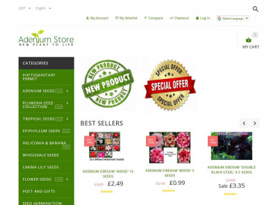Buy Nerium Oleander Seeds from Adenium Store Buy Nerium Oleander Seeds from Adenium Store