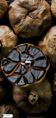 Login - Organo Food Store Login - Organo Food Store